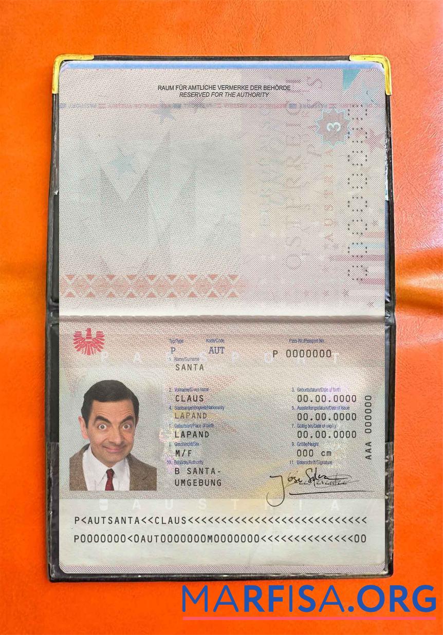 Downloadable Austria passport photo look download for verification